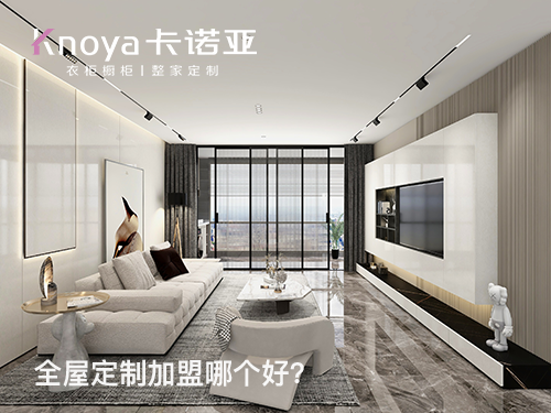 玉樹全屋定制加盟哪個(gè)品牌好?玉樹全屋定制招商加盟政策