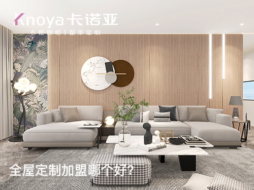 2023年河北全屋定制加盟選什么品牌好？
